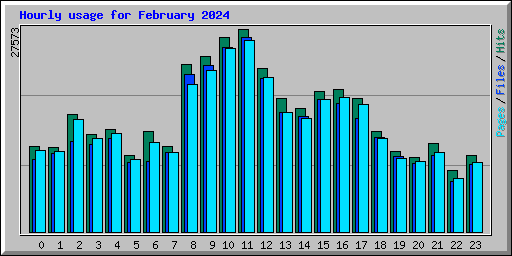 Hourly usage for February 2024