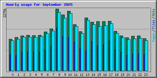 Hourly usage for September 2025