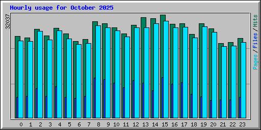 Hourly usage for October 2025
